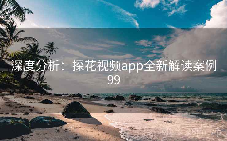 深度分析：探花视频app全新解读案例99  第2张