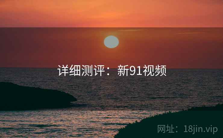 详细测评：新91视频  第2张