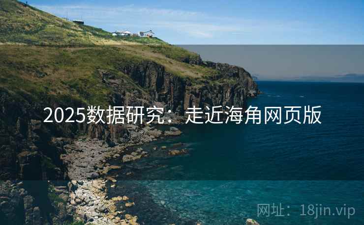 2025数据研究：走近海角网页版  第2张