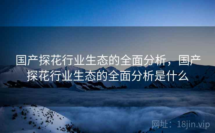 国产探花行业生态的全面分析，国产探花行业生态的全面分析是什么