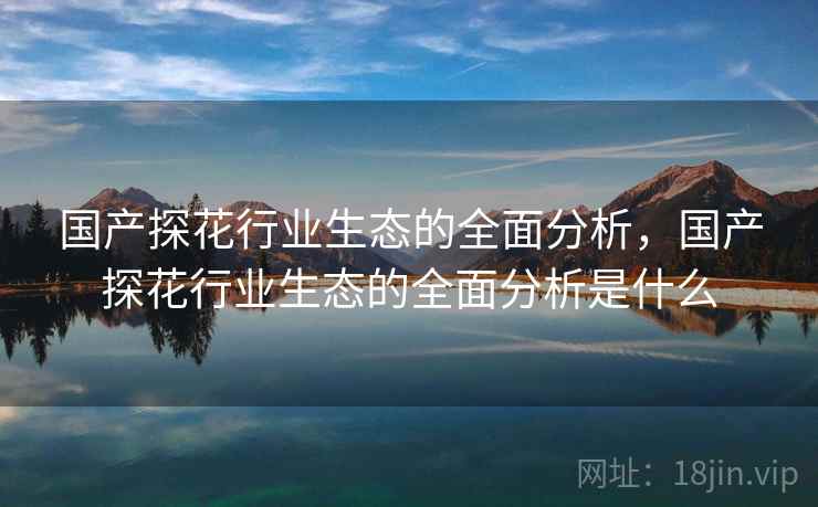 国产探花行业生态的全面分析，国产探花行业生态的全面分析是什么
