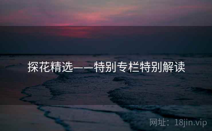 探花精选——特别专栏特别解读  第1张