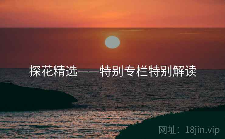探花精选——特别专栏特别解读  第2张