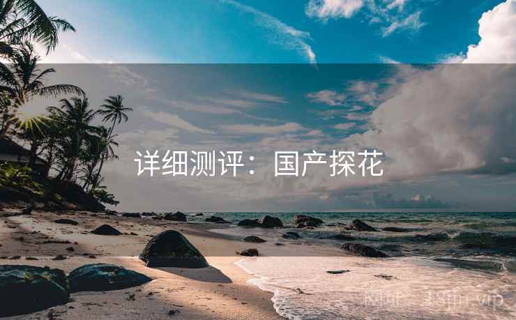 详细测评：国产探花