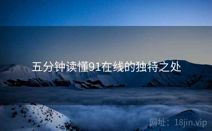 五分钟读懂91在线的独特之处
