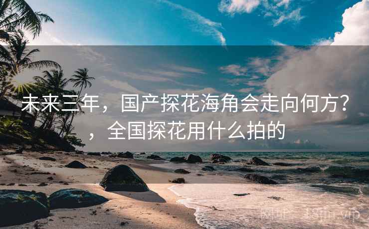 未来三年，国产探花海角会走向何方？，全国探花用什么拍的