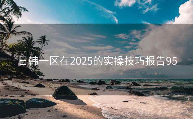 日韩一区在2025的实操技巧报告95