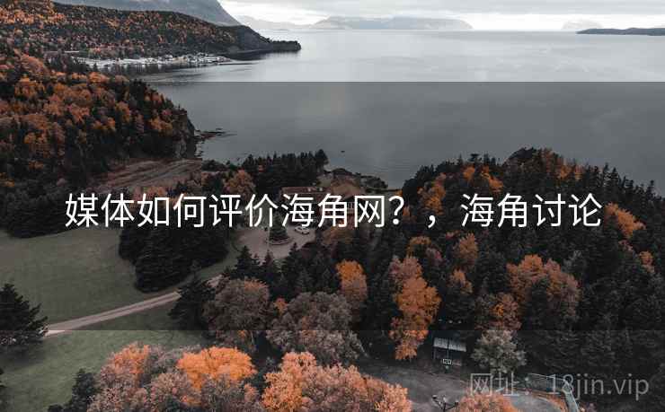 媒体如何评价海角网?,海角讨论