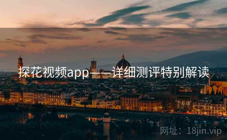 探花视频app——详细测评特别解读