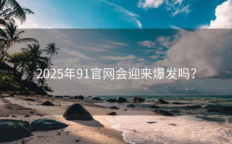 2025年91官网会迎来爆发吗？
