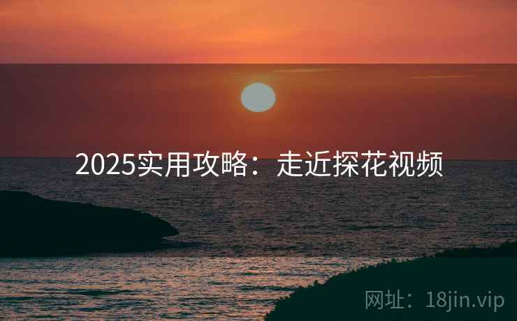 2025实用攻略：走近探花视频