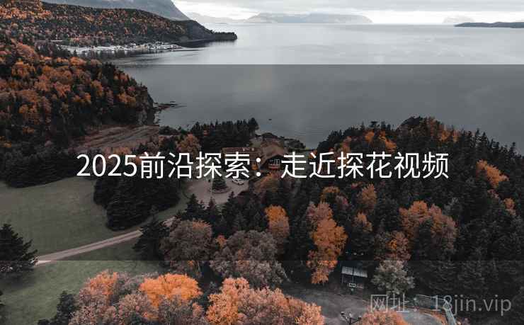 2025前沿探索:走近探花视频
