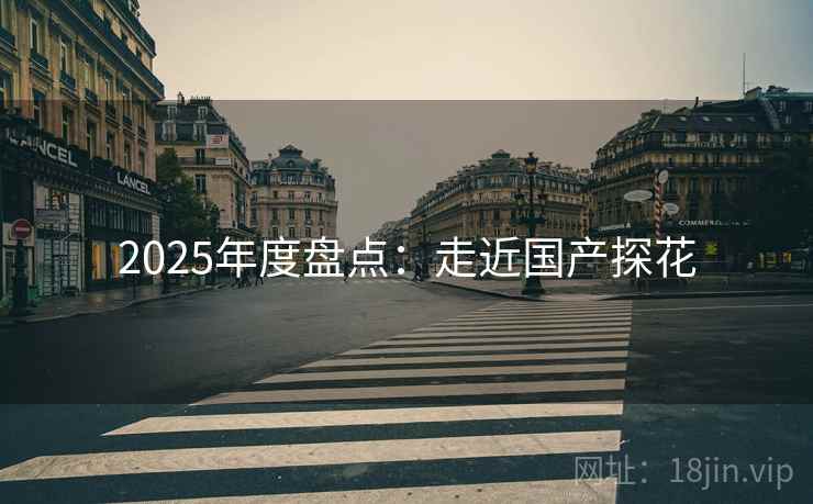 2025年度盘点：走近国产探花  第1张